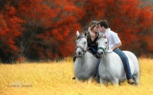 equestrian-photography-in Galveston-texas.jpg